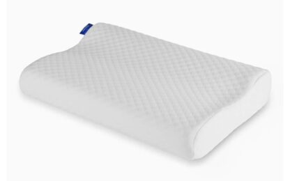 Seriously Comfortable Anatomic Comfort Pillow